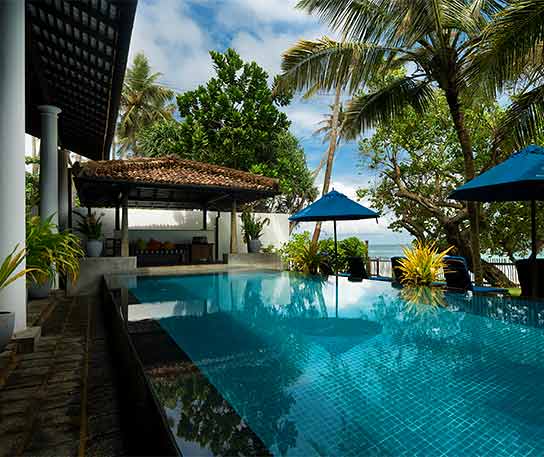 Discover the Best Hidden Beaches Along Sri Lanka’s Southern Coast