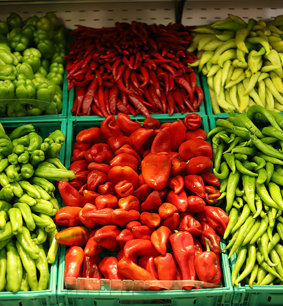 Udawalawe National Park
