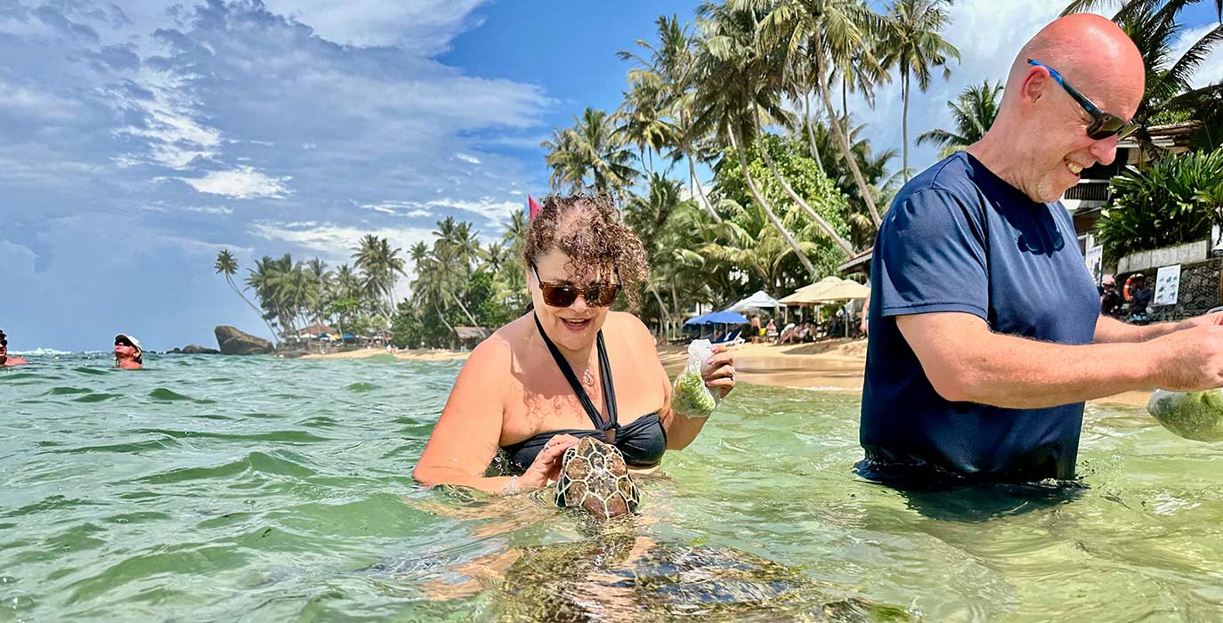 Swimming with and Feeding Turtles